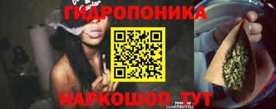 ГАЛЛЮЦИНОГЕННЫЕ ГРИБЫ Ставрополь